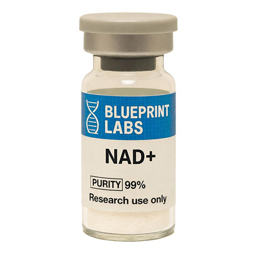 NAD+ 100mg - nicotinamide adenine dinucleotide longevity peptide by Blueprint Labs